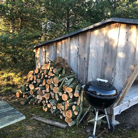Egebjerggaard Bed & Breakfast Sig Eksteriør bilde