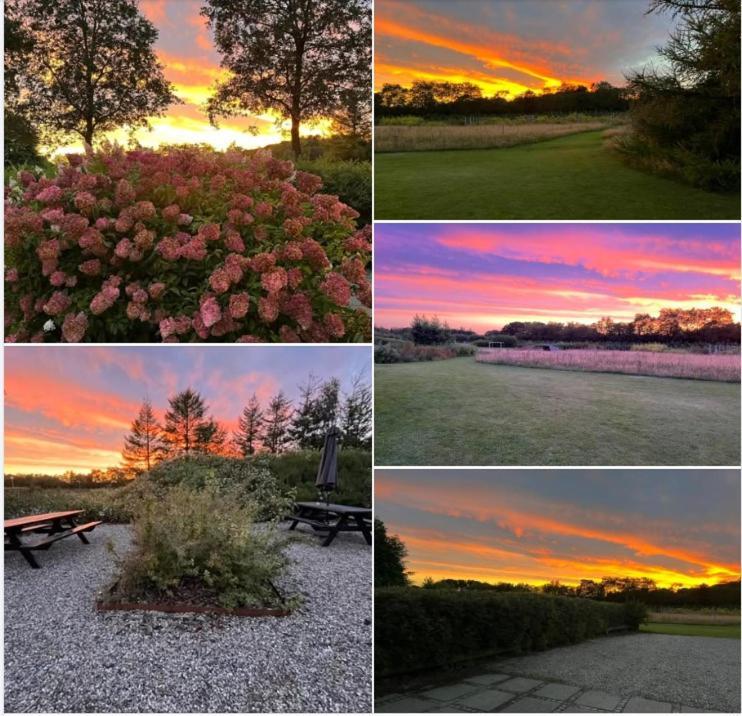 Egebjerggaard Bed & Breakfast Sig Eksteriør bilde